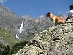 Le cascate del Serio viste dall'Osservatorio faunistico di Maslana (Valbondione) il 20 sett.08 - FOTOGALLERY 